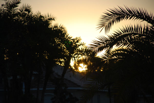 Sunrise over Tampa, Florida during a Rare Hybrid Solar Eclipse on 3 November 2013