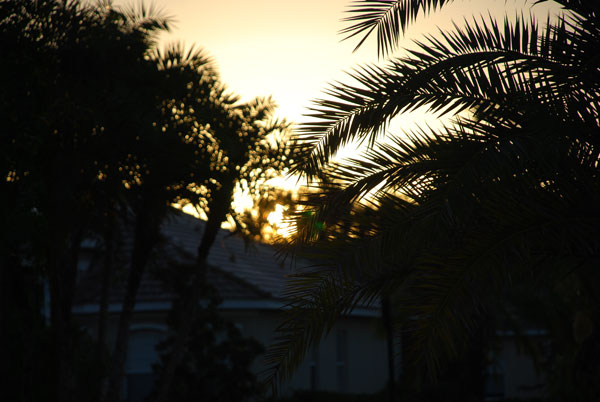 Sunrise over Tampa, Florida during a Rare Hybrid Solar Eclipse on 3 November 2013