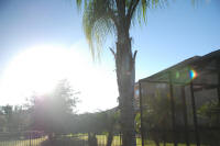 Sunrise over Tampa, Florida during a Rare Hybrid Solar Eclipse on 3 November 2013